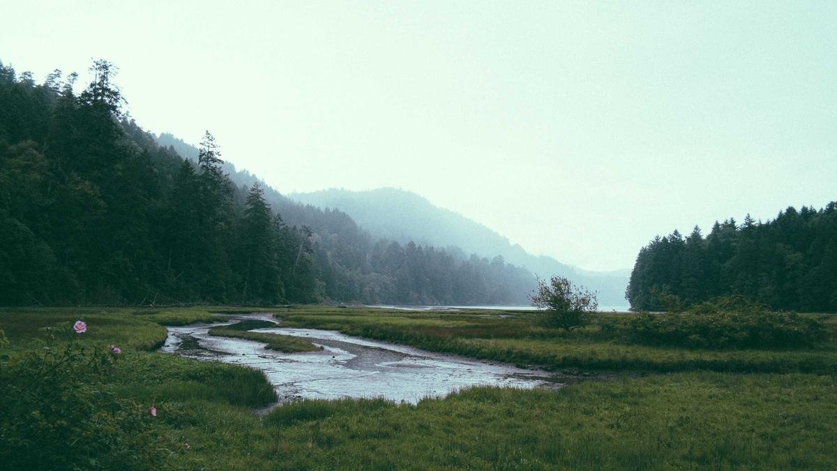 Família multigeracional reunida