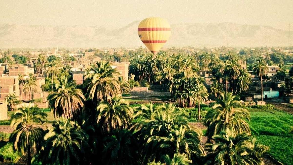 Carvalho centenário em paisagem de Portugal com folhagem densa representando a origem do sobrenome Carvalho